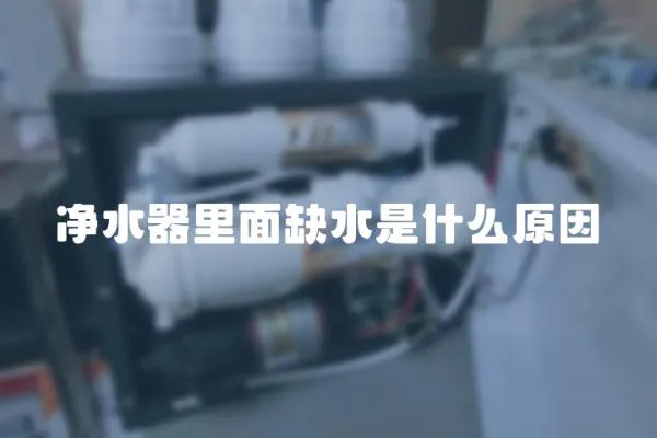凈水器里面缺水是什么原因