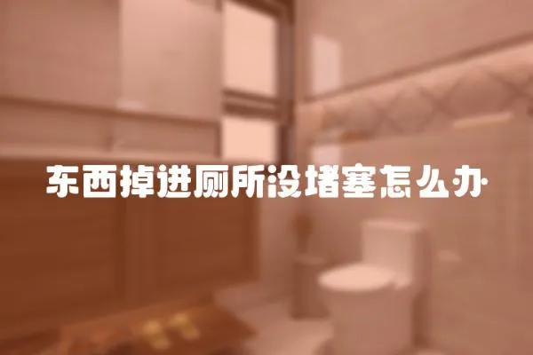 東西掉進廁所沒堵塞怎么辦