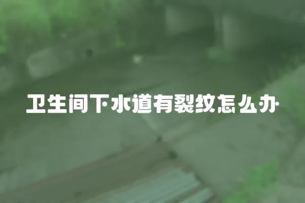 衛(wèi)生間下水道有裂紋怎么辦