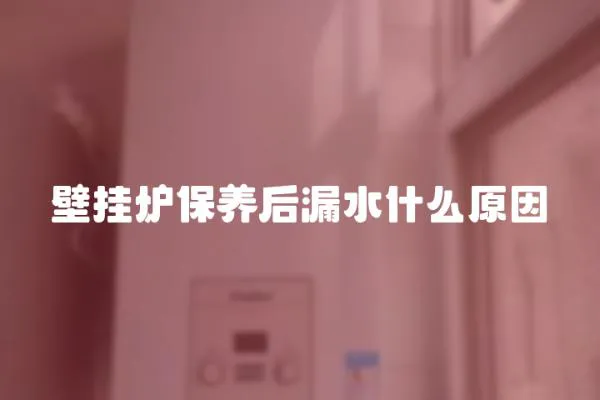 壁掛爐保養后漏水什么原因