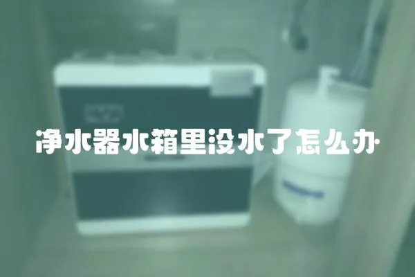 凈水器水箱里沒水了怎么辦