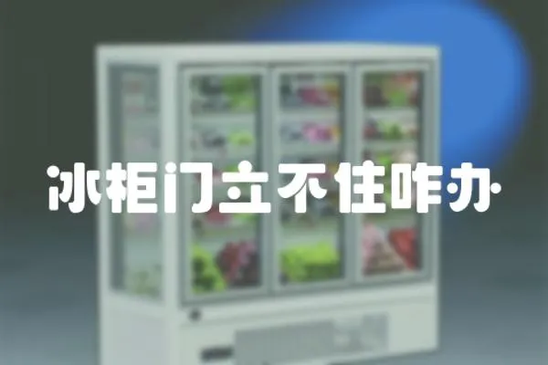 冰柜門立不住咋辦