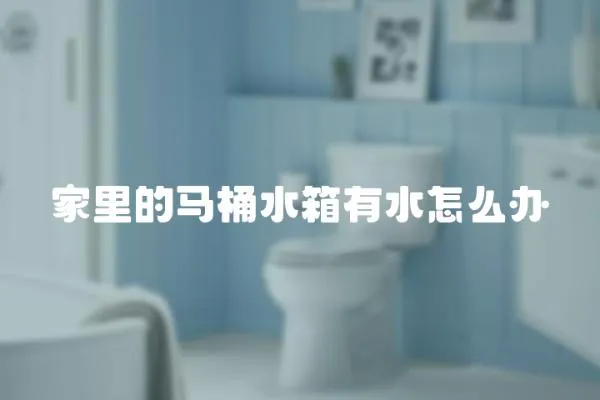 家里的馬桶水箱有水怎么辦