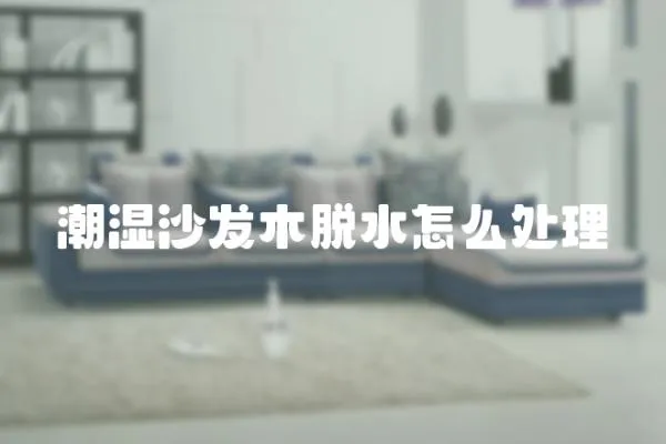 潮濕沙發木脫水怎么處理
