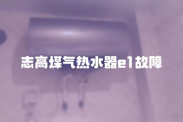志高煤氣熱水器e1故障