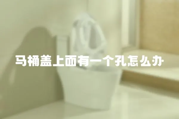 馬桶蓋上面有一個孔怎么辦