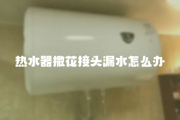 熱水器撒花接頭漏水怎么辦