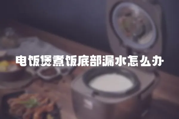 電飯煲煮飯底部漏水怎么辦