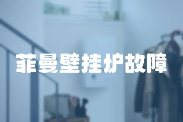 菲曼壁掛爐故障