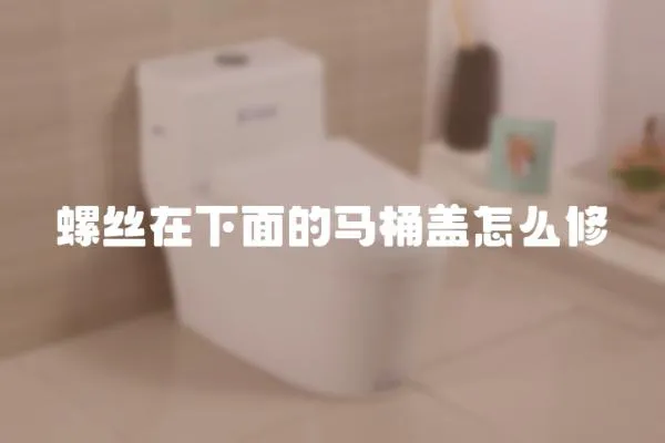 螺絲在下面的馬桶蓋怎么修