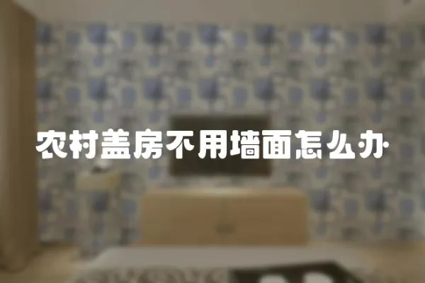 農村蓋房不用墻面怎么辦