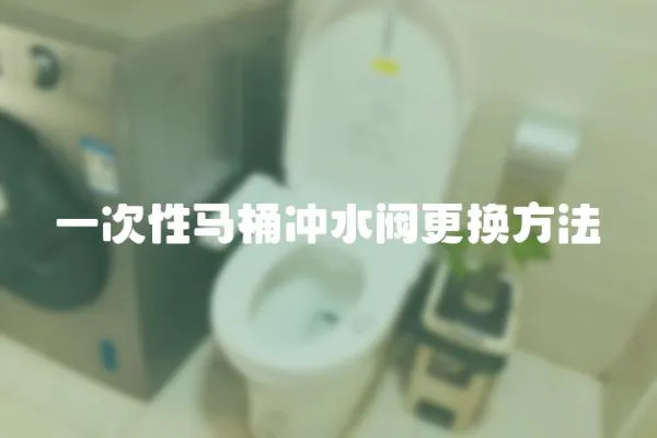 一次性馬桶沖水閥更換方法