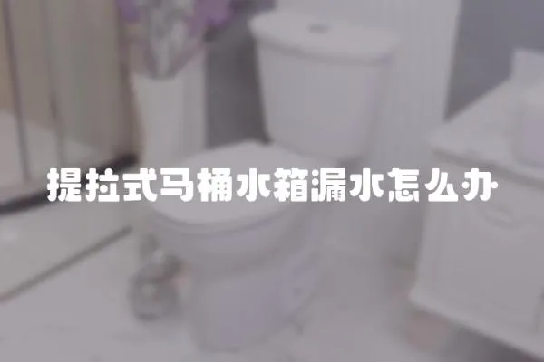 提拉式馬桶水箱漏水怎么辦