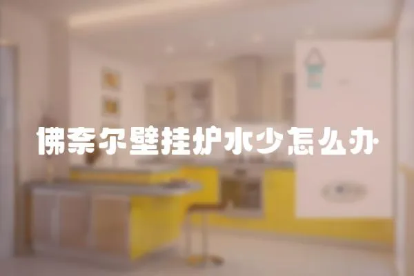 佛奈爾壁掛爐水少怎么辦