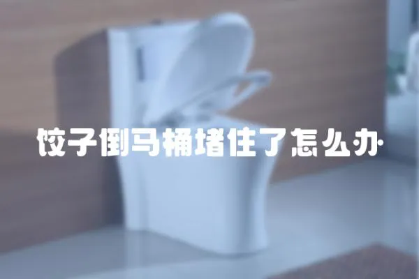 餃子倒馬桶堵住了怎么辦