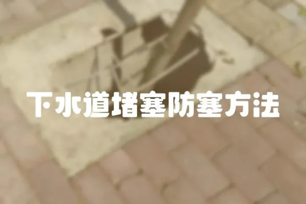 下水道堵塞防塞方法