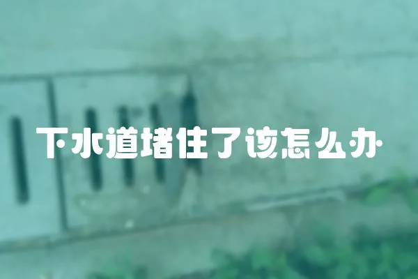 下水道堵住了該怎么辦