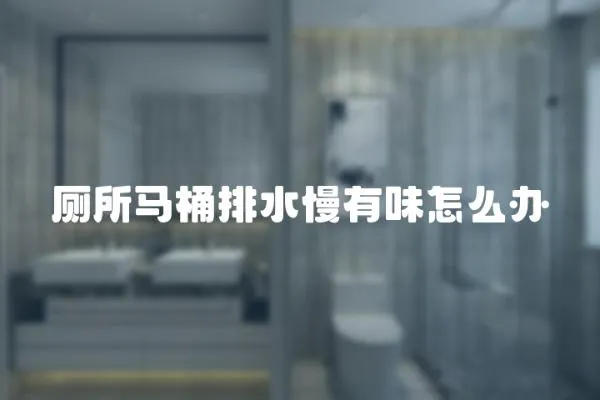 廁所馬桶排水慢有味怎么辦
