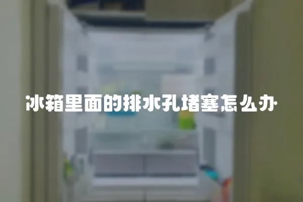 冰箱里面的排水孔堵塞怎么辦