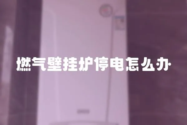 燃?xì)獗趻鞝t停電怎么辦