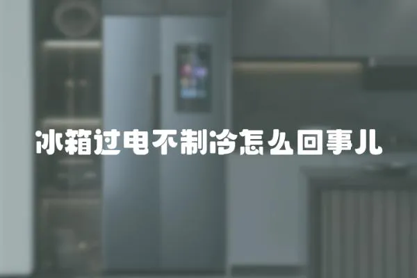 冰箱過電不制冷怎么回事兒