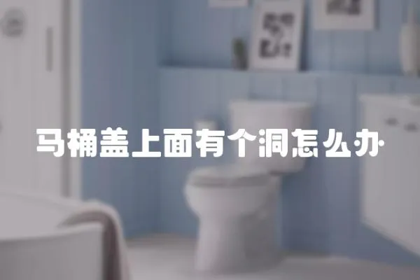 馬桶蓋上面有個(gè)洞怎么辦