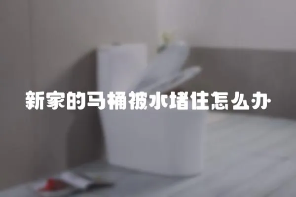 新家的馬桶被水堵住怎么辦