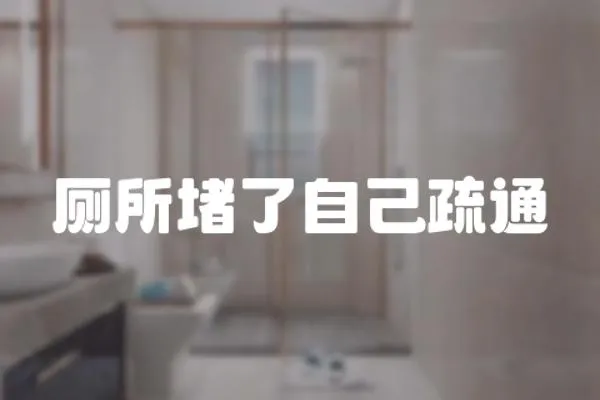 廁所堵了自己疏通