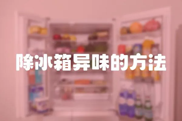 除冰箱異味的方法