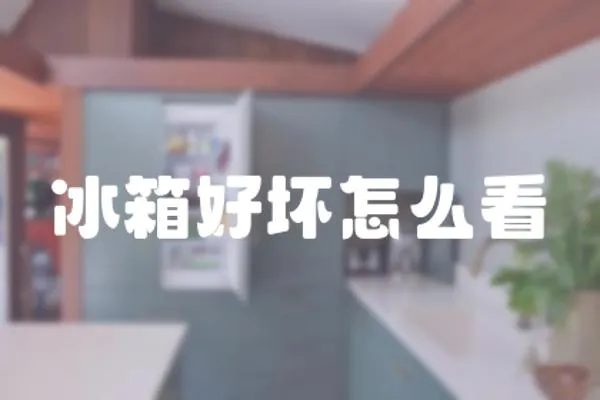 冰箱好壞怎么看