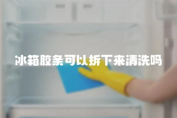 冰箱膠條可以拆下來清洗嗎
