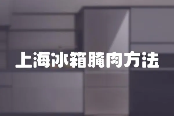上海冰箱腌肉方法