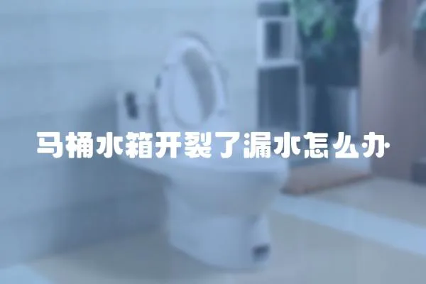 馬桶水箱開裂了漏水怎么辦