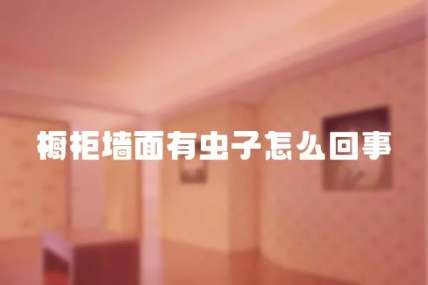 櫥柜墻面有蟲(chóng)子怎么回事