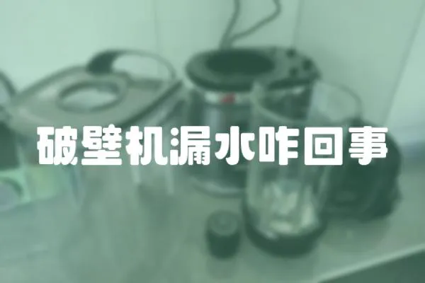 破壁机漏水咋回事