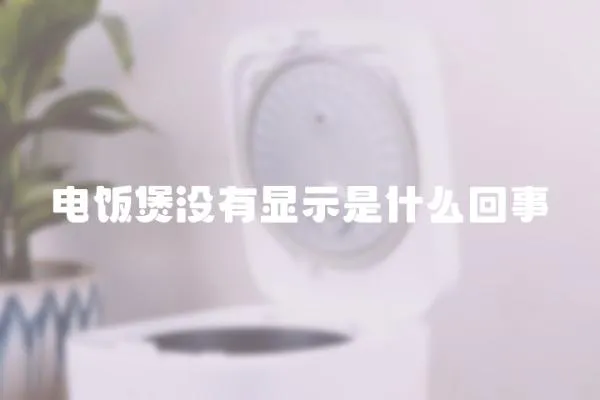 電飯煲沒有顯示是什么回事