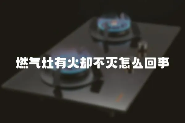 燃氣灶有火卻不滅怎么回事