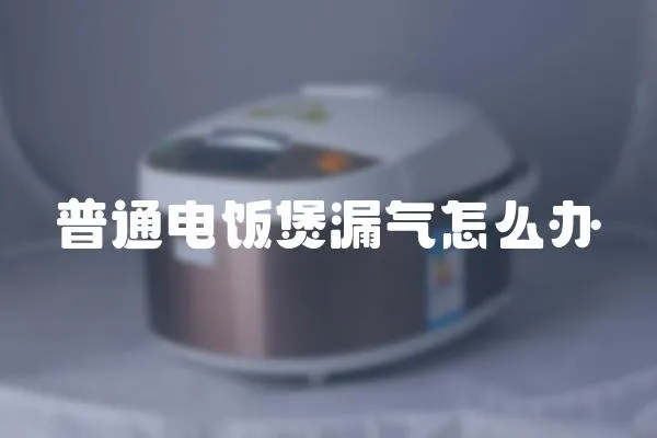 普通電飯煲漏氣怎么辦