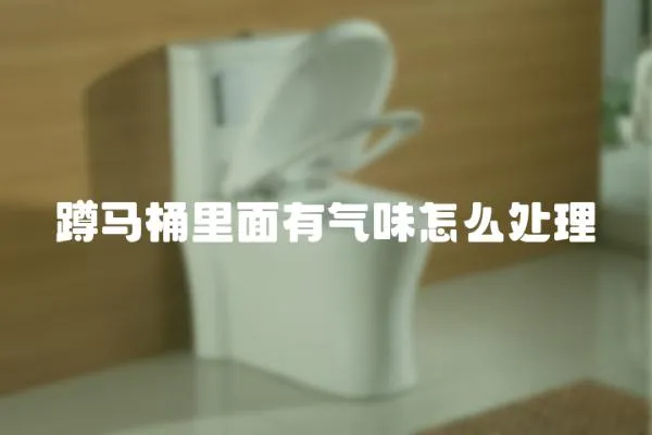 蹲馬桶里面有氣味怎么處理