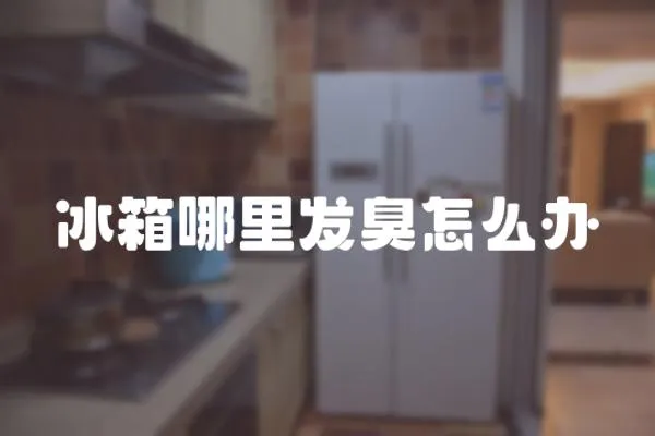 冰箱哪里發臭怎么辦