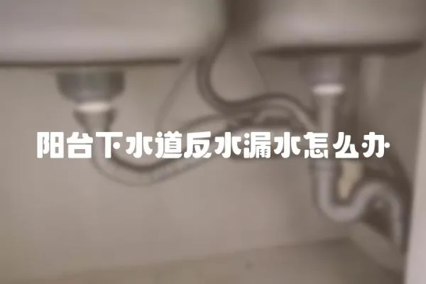 阳台下水道反水漏水怎么办