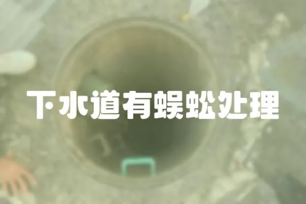 下水道有蜈蚣處理