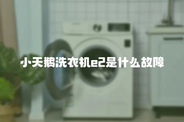 小天鵝洗衣機e2是什么故障
