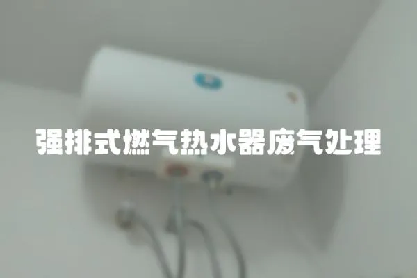 強排式燃氣熱水器廢氣處理
