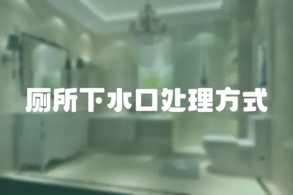 廁所下水口處理方式