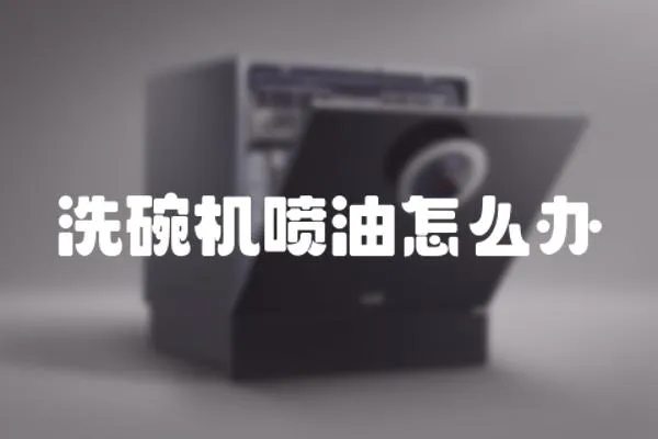 洗碗機(jī)噴油怎么辦