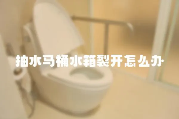 抽水馬桶水箱裂開怎么辦