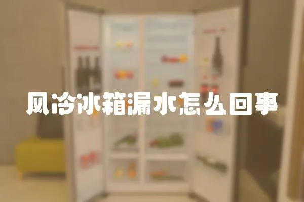 風冷冰箱漏水怎么回事