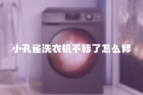 小孔雀洗衣機不轉(zhuǎn)了怎么修