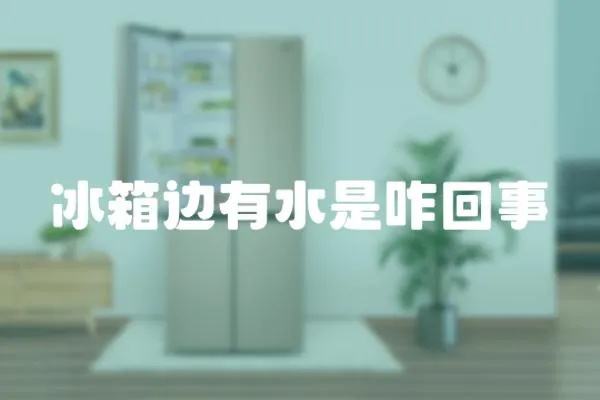 冰箱邊有水是咋回事